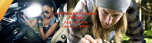 МДПВ Кулебаки