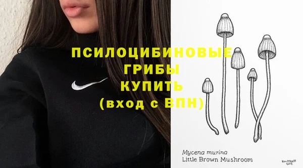 МДПВ Кулебаки