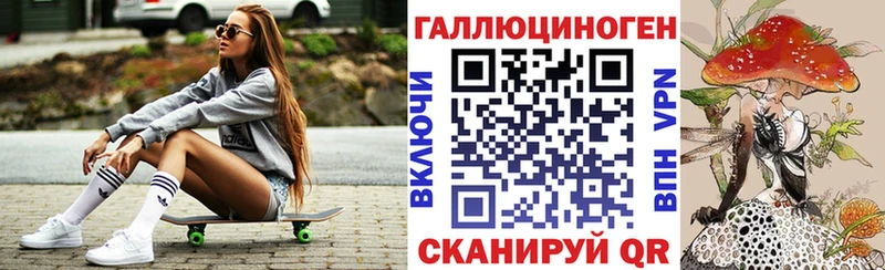 Купить  Алзамай  Псилоцибиновые грибы мицелий 